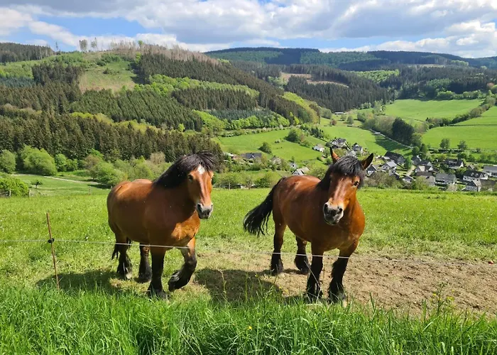 Pohl-optimal Fuer Familien * Lennestadt